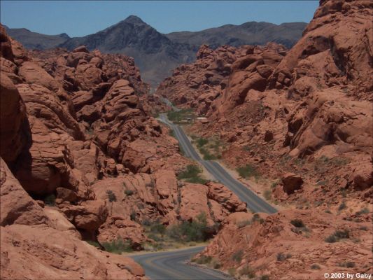 Valley of Fire
das Bild enstand im Valley of Fire im Juni 2004
Schlüsselwörter: Fotowettbewerb