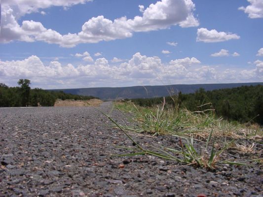 Auf dem Weg...
das Foto wurde Ende Juli 2002 auf dem Weg vom Grand Canyon (Südrand) Richtung Williams aufgenommen - weiß leider nicht mehr genau wo.

Schlüsselwörter: Fotowettbewerb