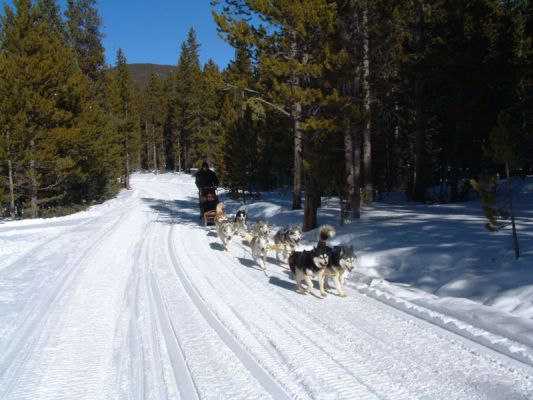 Denver 2002
Aufgenommen wurde das Bild in der Nähe von Frisco Breckenridge (bei Denver)
Schlüsselwörter: Fotowettbewerb