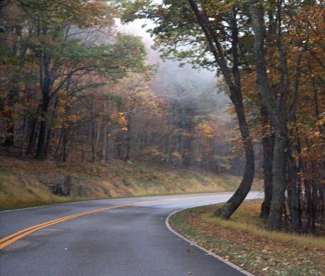 Shenandoah National Park, Virginia
Dieses Foto wurde in Oktober 2004 im Shenandoah National Park, Virginia entlang dem Skyline Drive aufgenommen
Schlüsselwörter: Fotowettbewerb