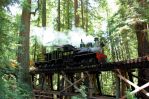 Roaring Camp Railroads