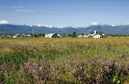 Blick auf die Olympic Mountains
