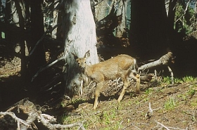 04_8060a~0.jpg