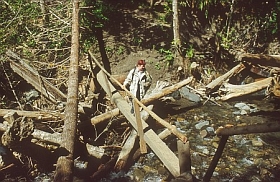 auf dem Hot Springs Trail
