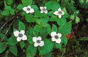 04_8070a.jpg