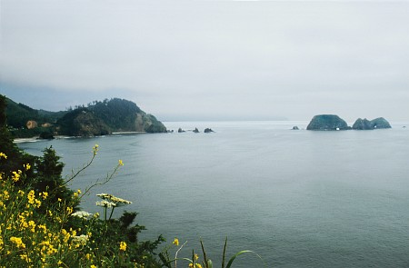 Küste bei Cape Meares
