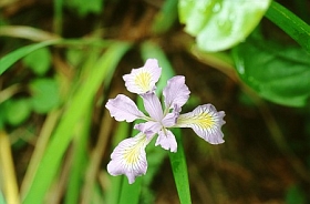 04_8179a.jpg