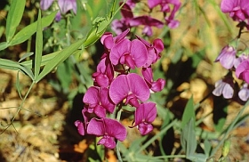 04_8190a.jpg