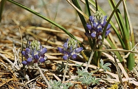 04_8230a.jpg