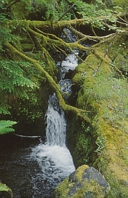 Watson Falls
