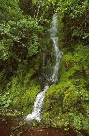 kleiner Wasserfall
