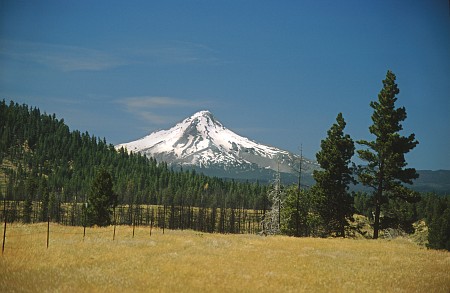 Mt. Hood
