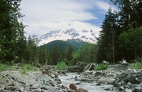 Trail zu den Ramona Falls
