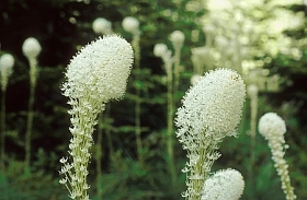 04_8276a.jpg