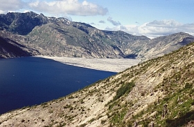 Spirit Lake mit Baumstämmen
