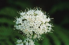 04_8290a.jpg
