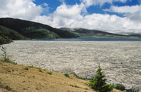 Spirit Lake mit Baumstämmen
