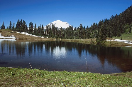 Tipsoo Lake mit Mt. Rainier
