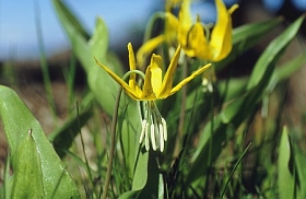 04_8311a.jpg