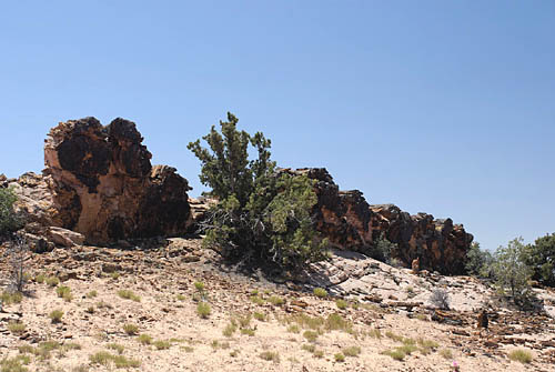 240_DSC_0050.jpg