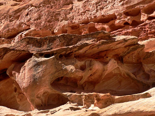 292_P1010135.jpg