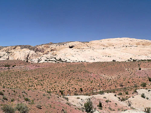 294_P1010263.jpg