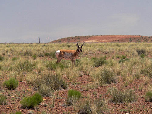 295_P1010258.jpg