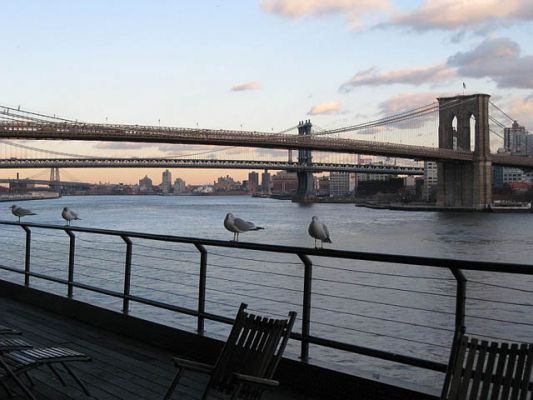 Kauschthaus_Brooklyn_und_Manhattan_Bridge.JPG
