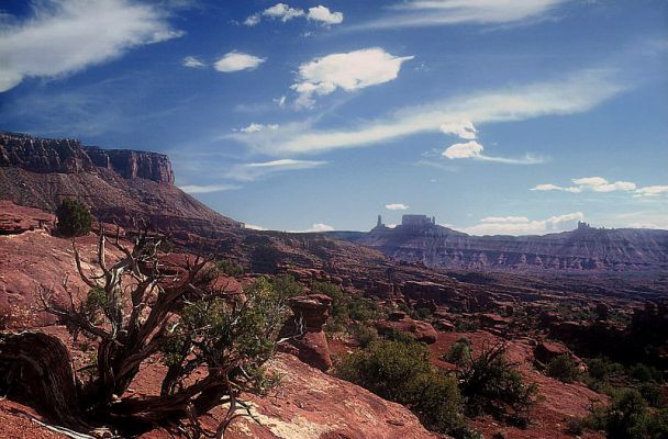 Utah pur
Ausblick vom Trail bei den Fisher Towers
