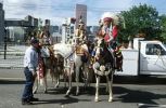 Aufstellung Grand Floral Parade