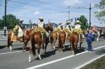 Aufstellung Grand Floral Parade