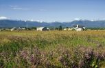 Blick auf die Olympic Mountains