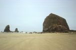 Haystack Rock