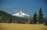 04_8272a.jpg