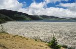 Spirit Lake mit Baumstämmen