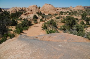 35_sandflats1.jpg