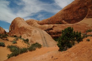 35_sandflats4.jpg