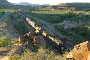 91_train1.jpg