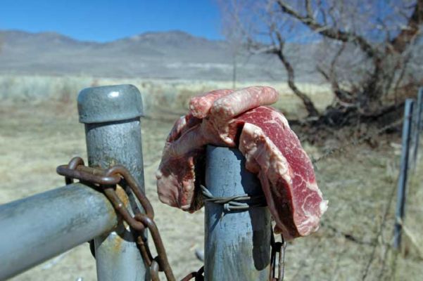 Hwy CA 168
Fleisch für Raben
