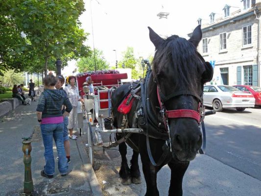 08-montreal-03.jpg