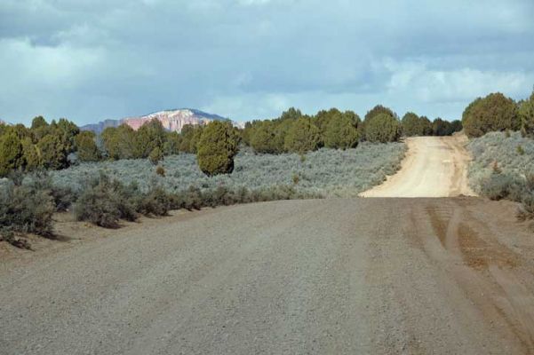 Johnson Canyon Rd.

