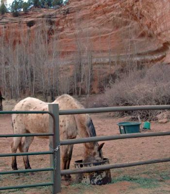 Kanab Canyon
