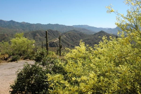 Apache Trail
