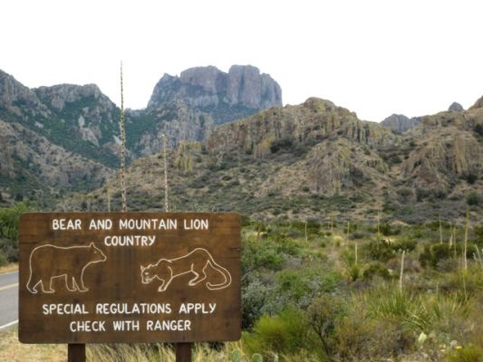 Big Bend NP
