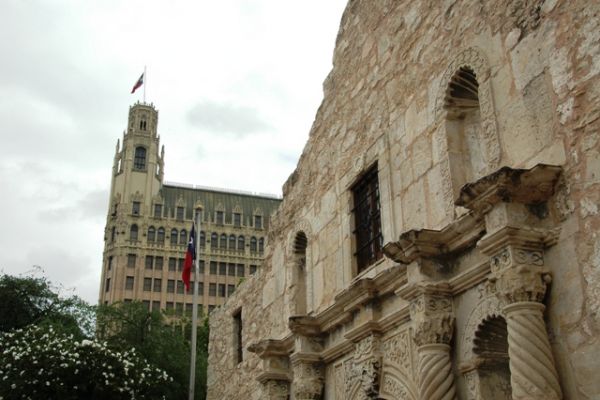 The Alamo
