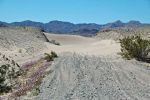 Dumont Dunes