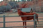 Kanab Canyon