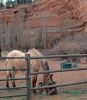 Kanab Canyon