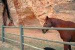 Kanab Canyon