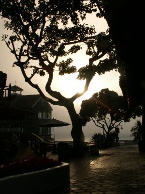 San Diego Seaport Village
Abendstimmung beim Seaport Village - als plötzlich der Nebel vom Meer Richtung Stadt zog
